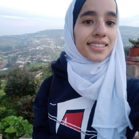 Diana Alazzam CV Candidate
