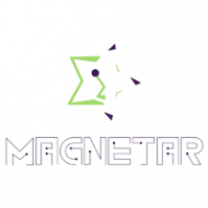 Magnetar Solutions 
